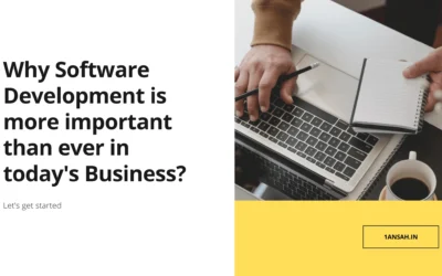 Why Is Software Development More Important Than Ever In Today’s Business?