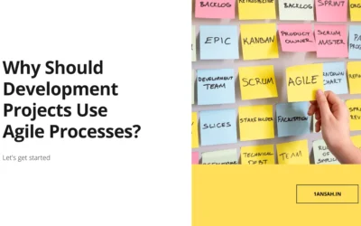 Development Projects That Use Agile Processes